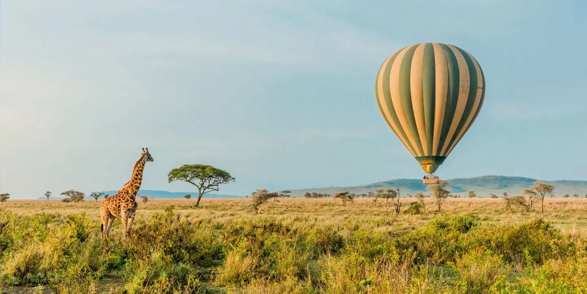 East Africa landscape