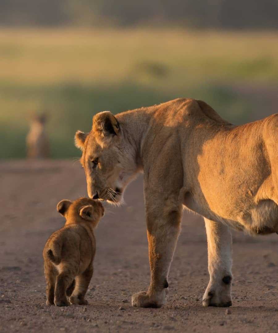 Nairobi