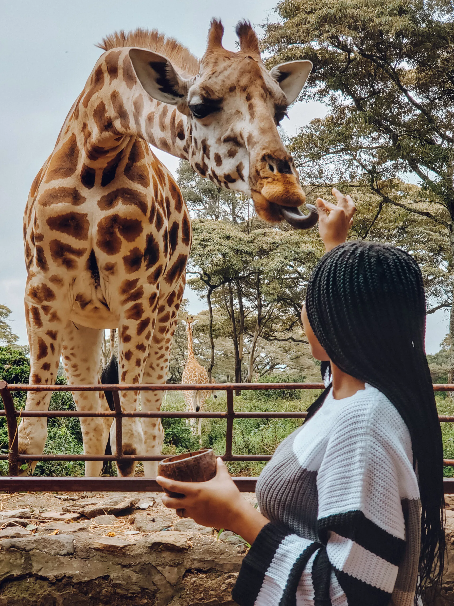 Giraffe Centre · Nairobi