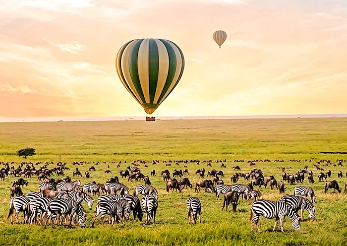 Maasai Mara · Balloon Safari
