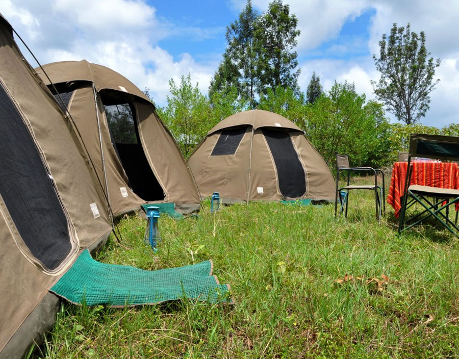 13 Days Kenya & Tanzania Small Group 4x4 Camping Safari
