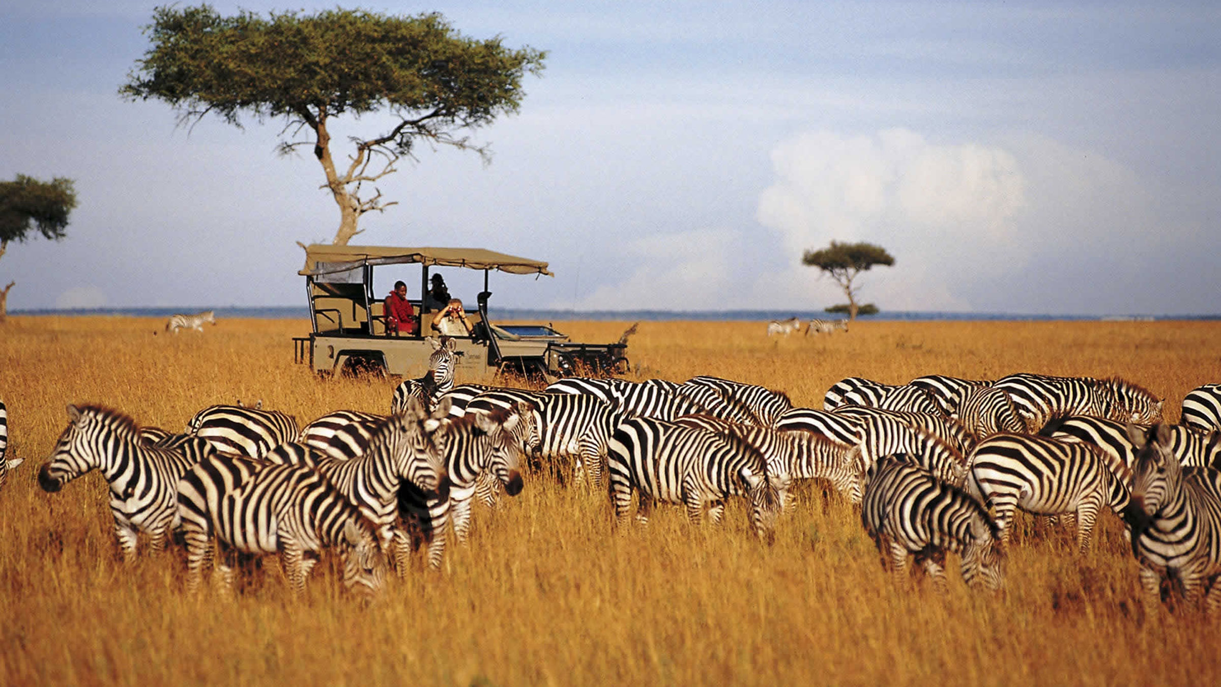 Jambo Kenya